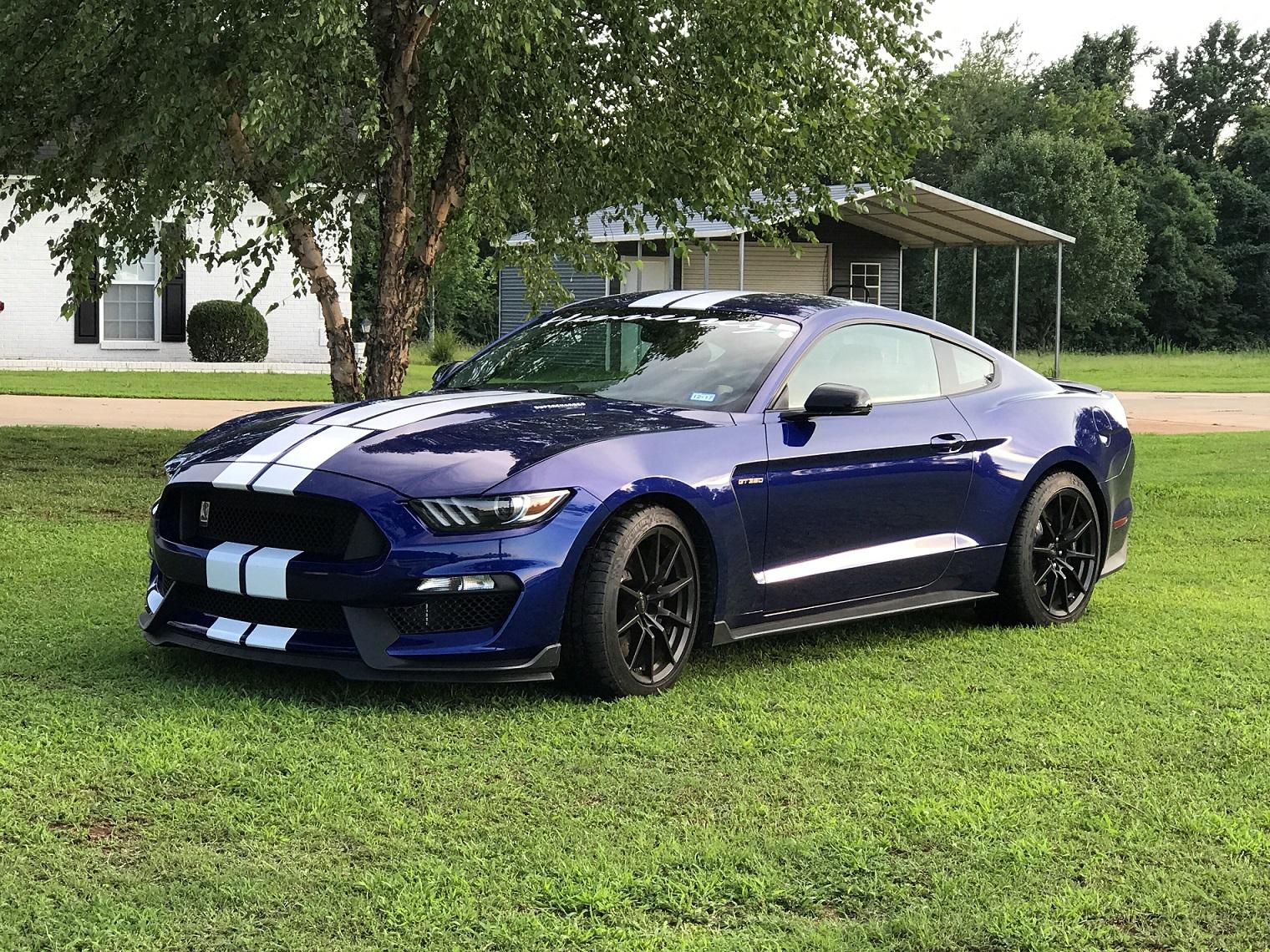 GT350 front yard resized.jpg