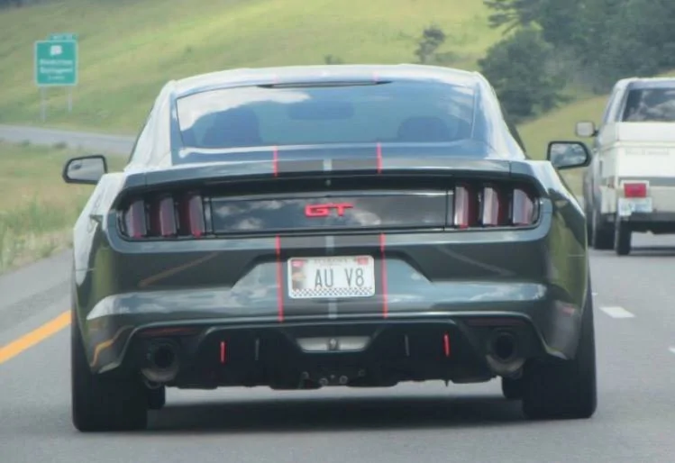 rear stripes.webp