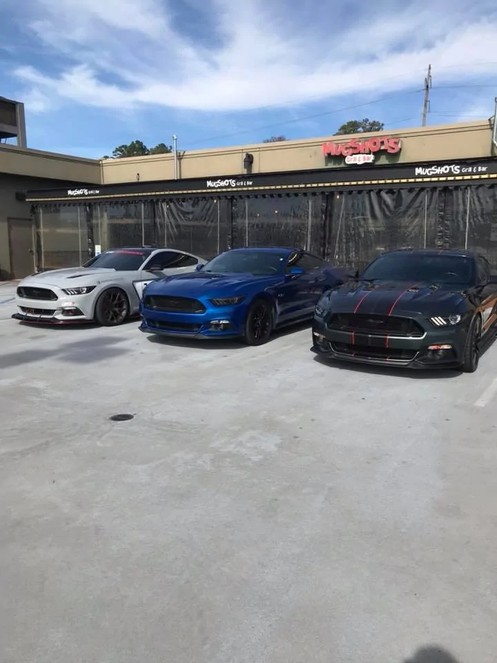 team mustang.webp