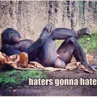 haters.jpg