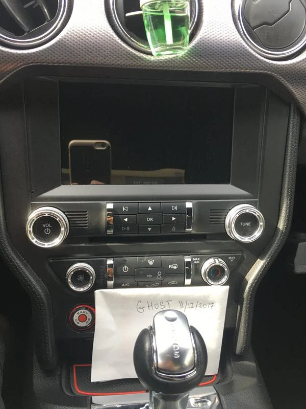 stang.webp