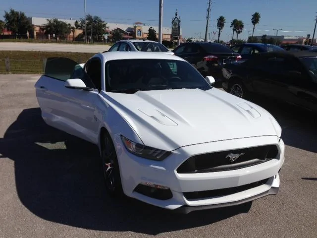 Mustang 2.webp