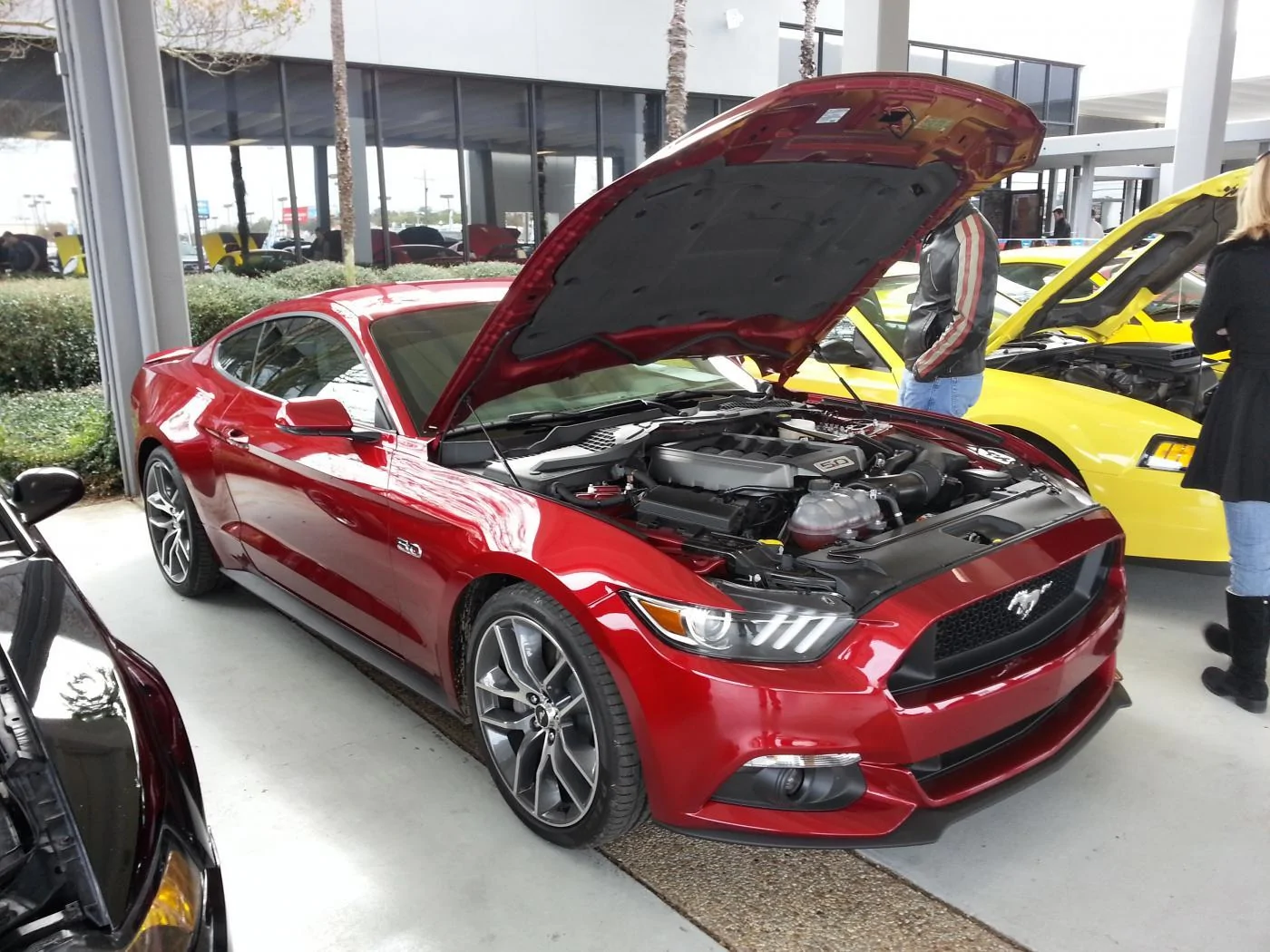 2015 mustang 413.webp