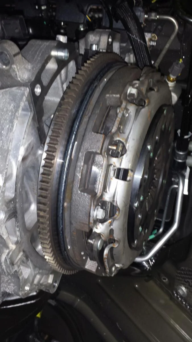 EB clutch 2.webp