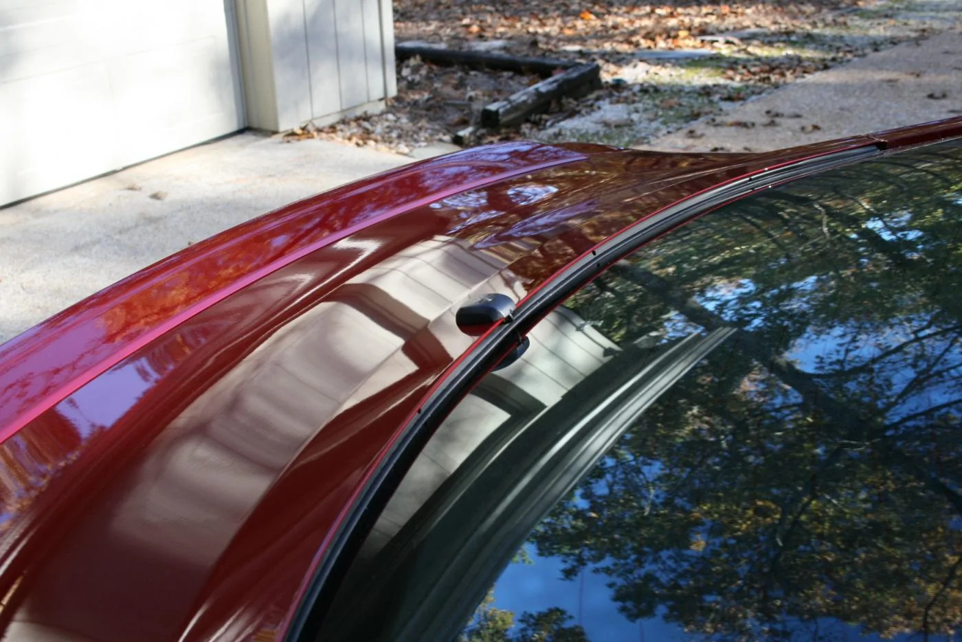 Mustang at the lake 11-18-14 006.webp