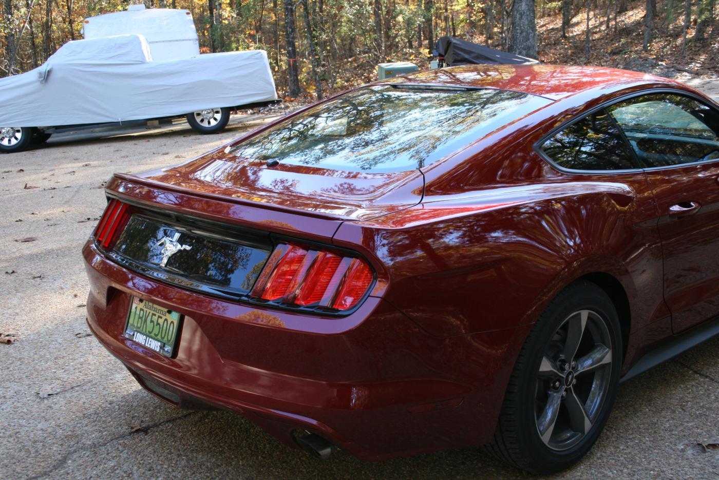 Mustang at the lake 11-18-14 010.jpg