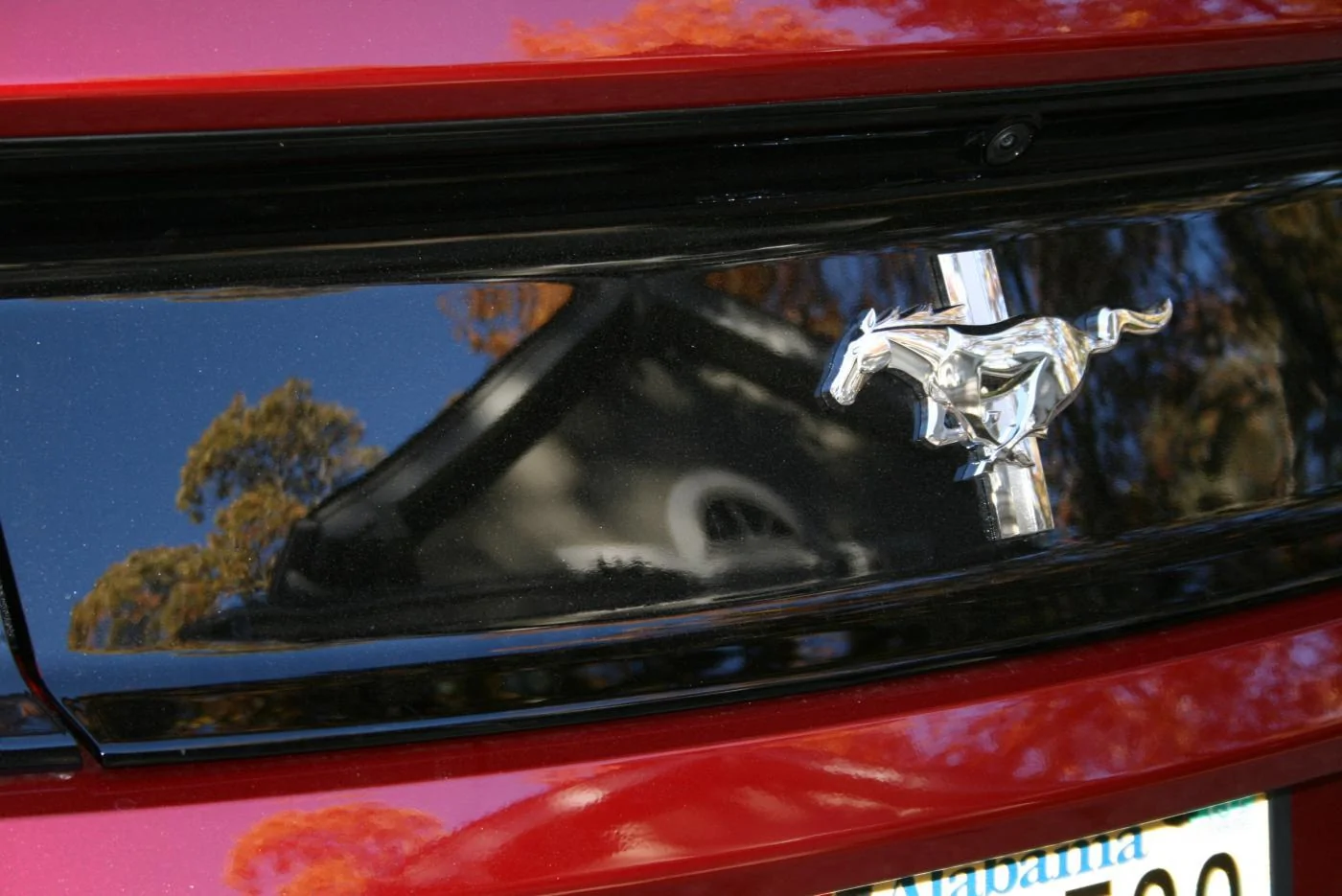 Mustang at the lake 11-18-14 015.webp