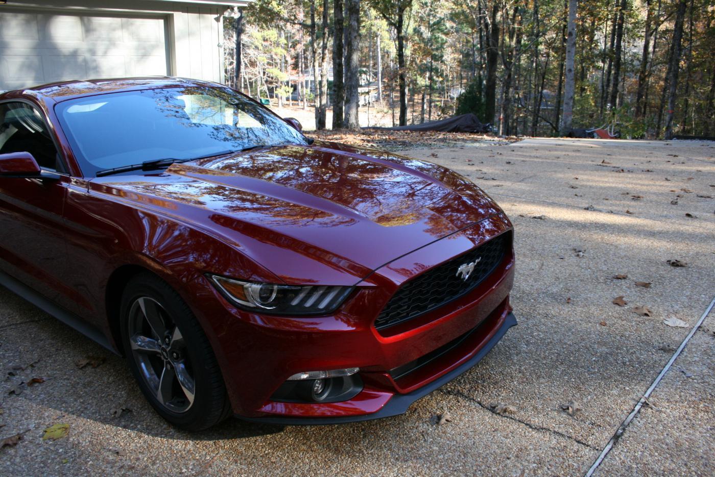 Mustang at the lake 11-18-14 019.jpg