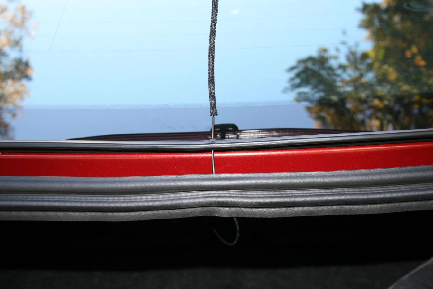 Mustang at the lake 11-18-14 022.webp