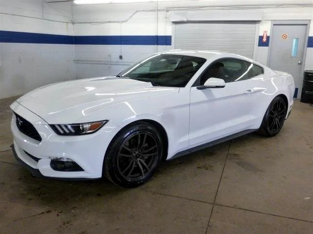 2015_ford_mustang_oxford_white_in_n_falls_new_york_5270009413813316551.webp