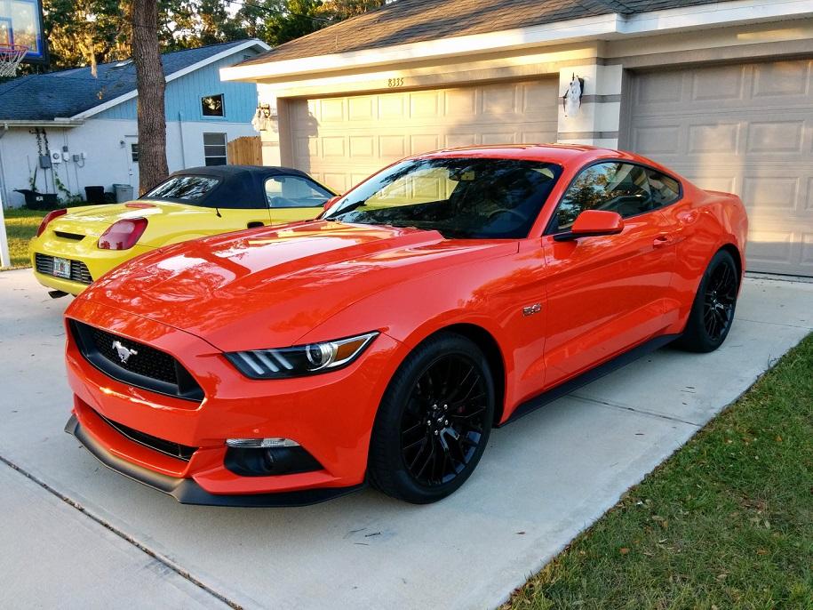 Mustang-small-01.jpg