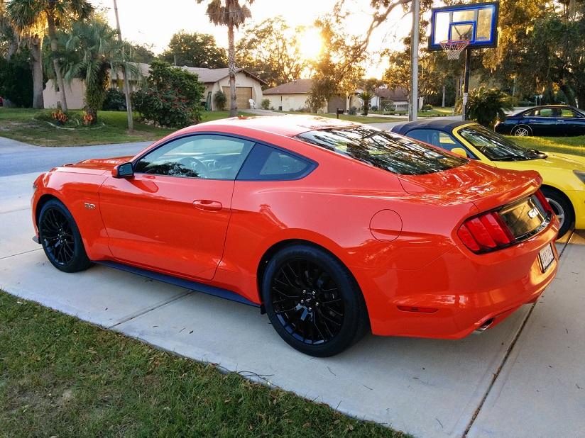 Mustang-small-02.jpg