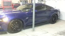 Mustang2105.webp