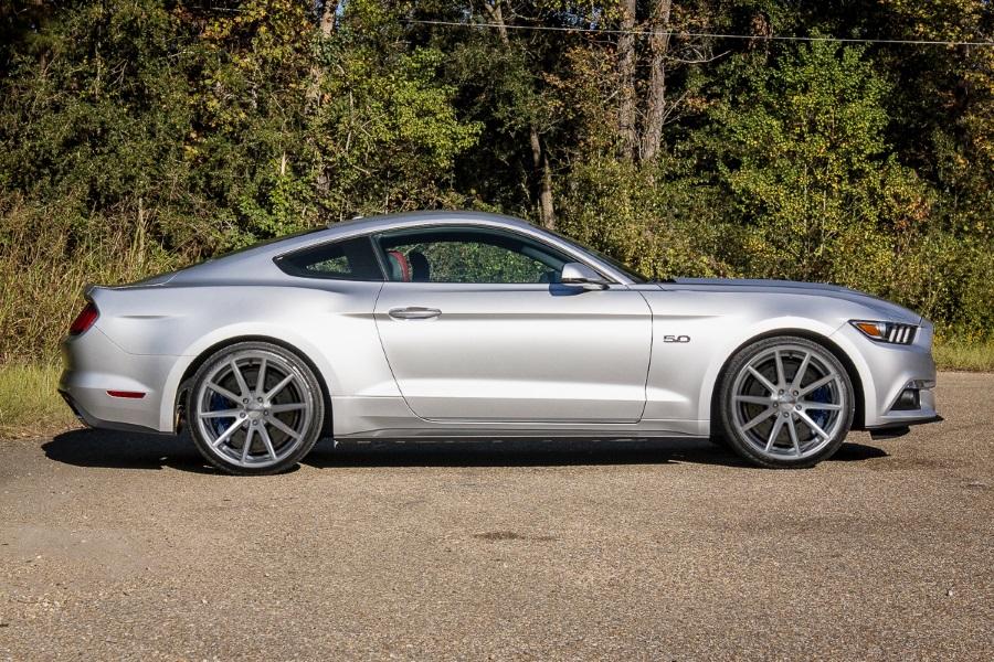 vossen.jpg