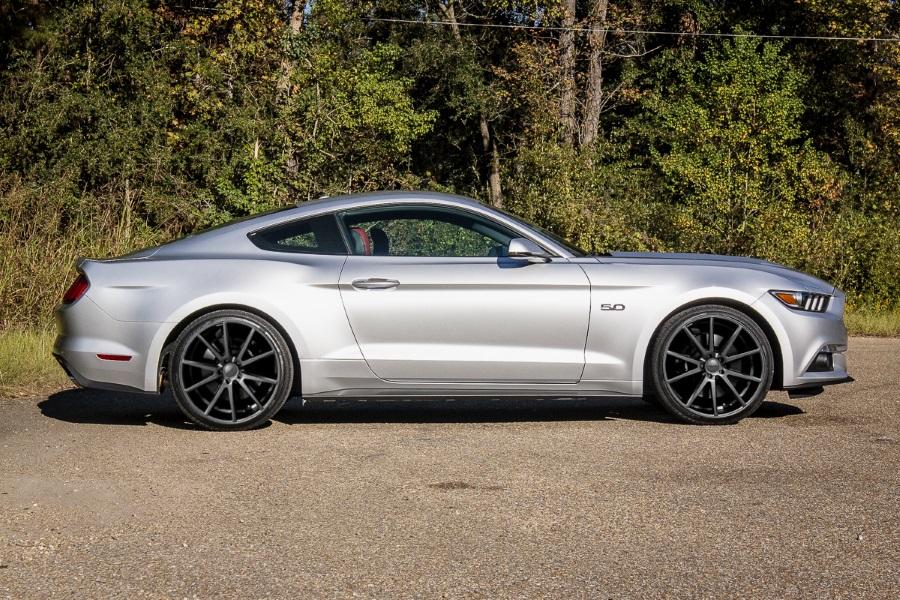 2015Stang-3.jpg