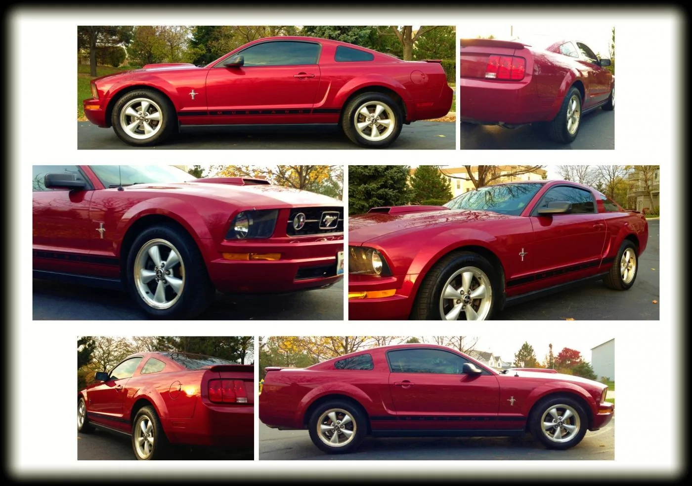 IMG_1484_collage.webp