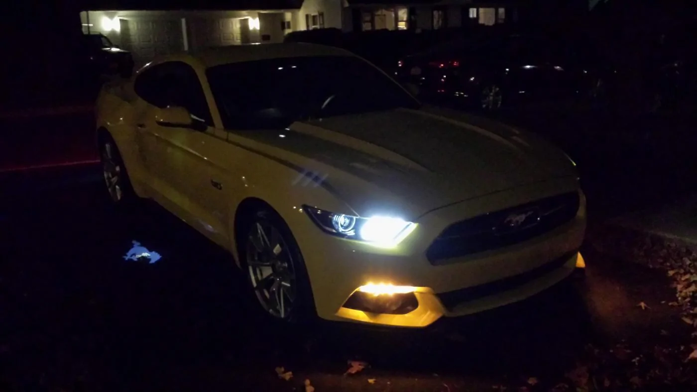 night pony.webp