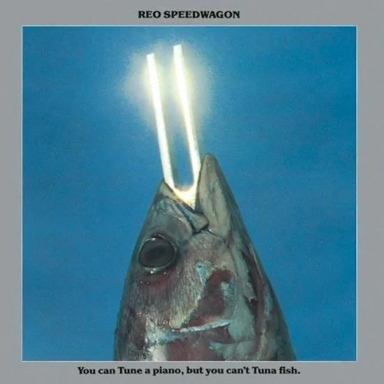 reo-tuneapiano.webp