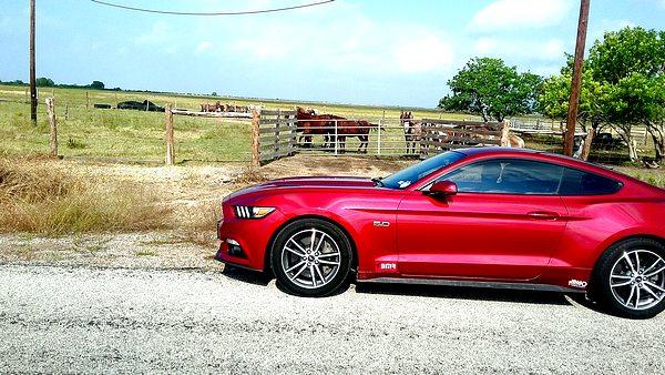 tn_20171102_111548.jpg