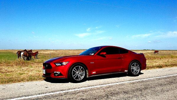 tn_20171125_115033.jpg