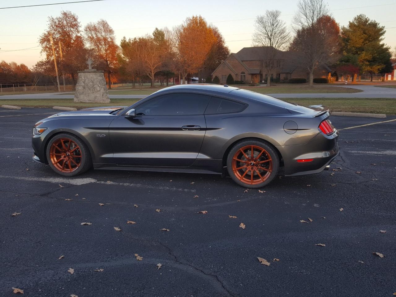 rps20171120_192644.jpg
