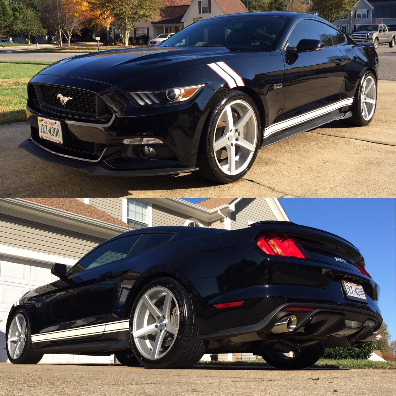 Clean Mustang.jpg