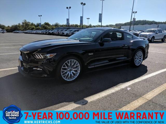 mustang2.jpg