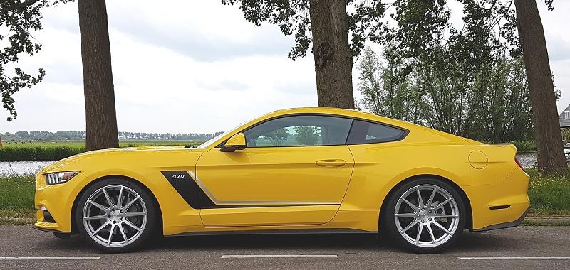 lowered.jpg
