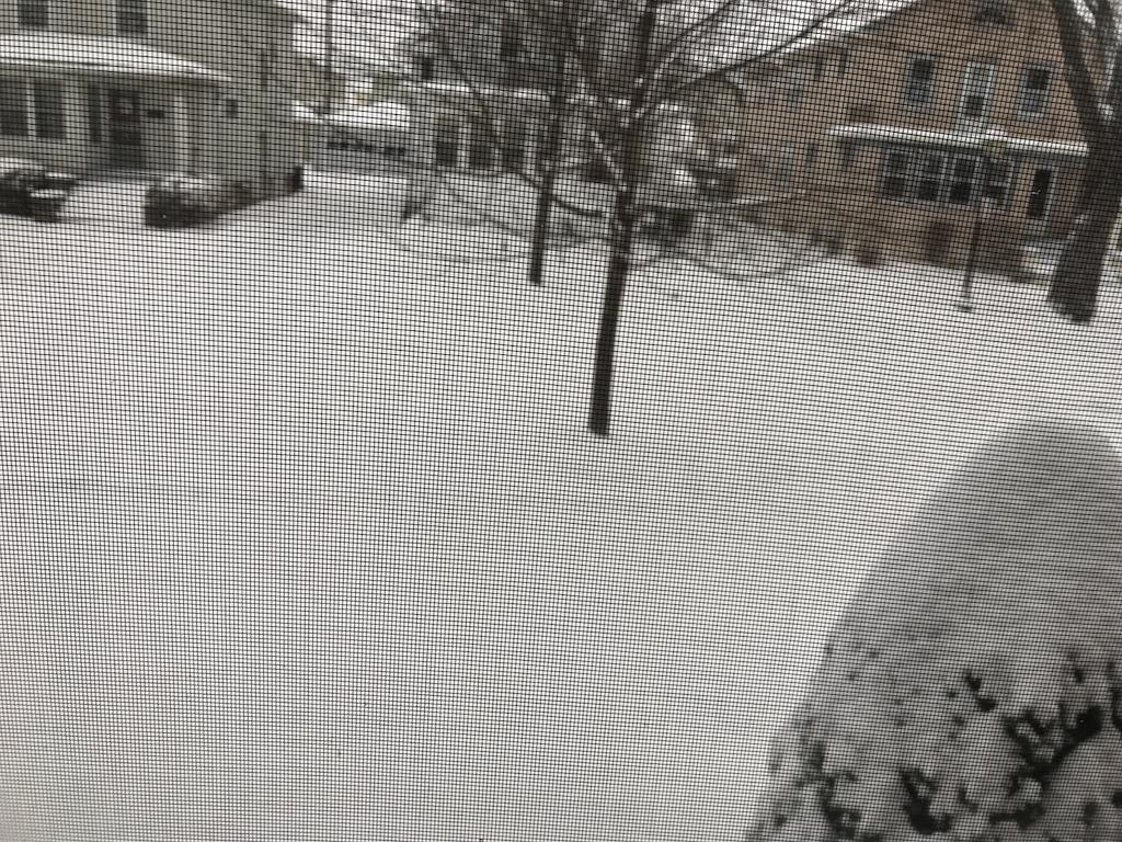 first snow.JPG