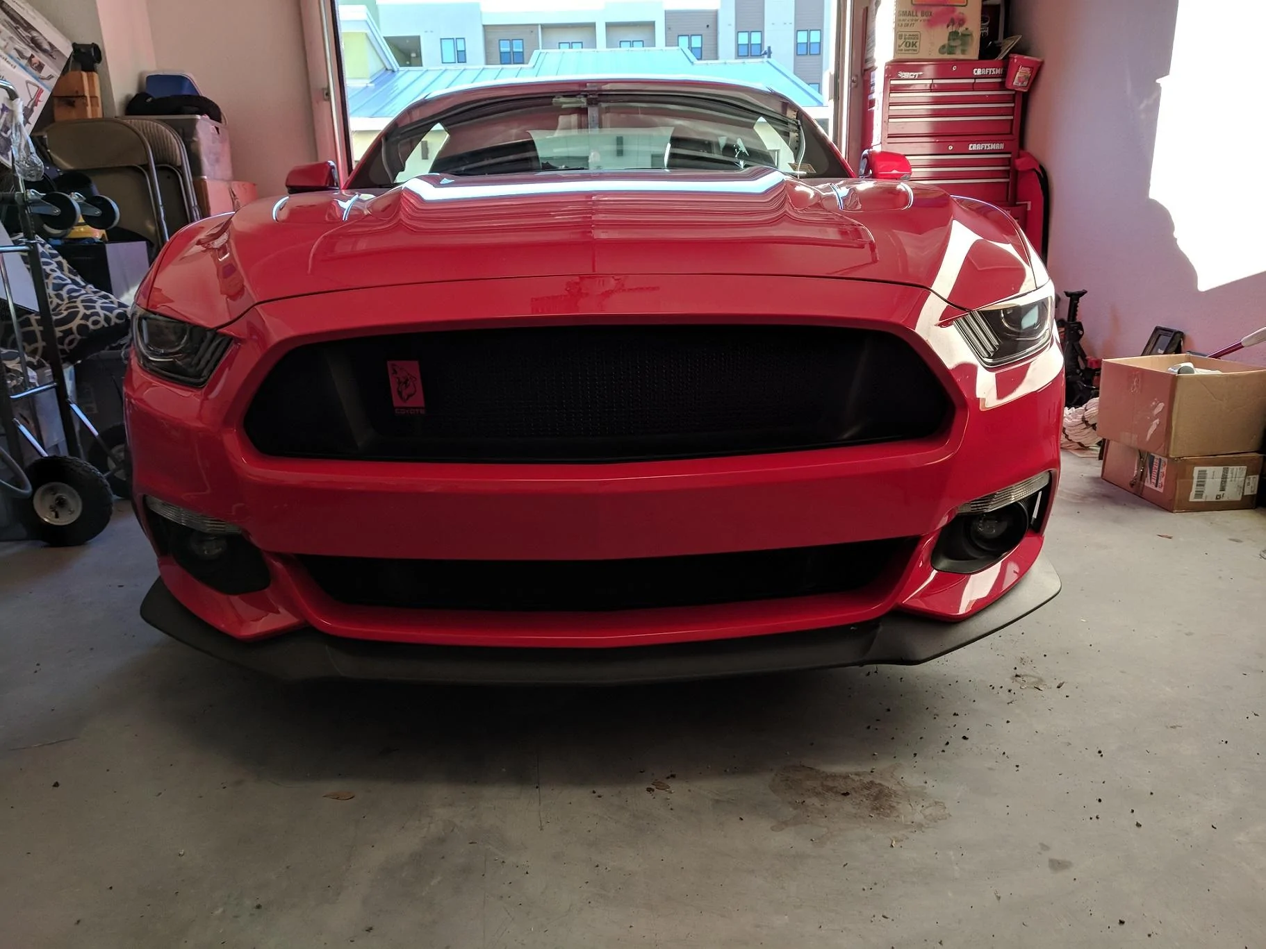 IMG_20171210_163221v2.webp