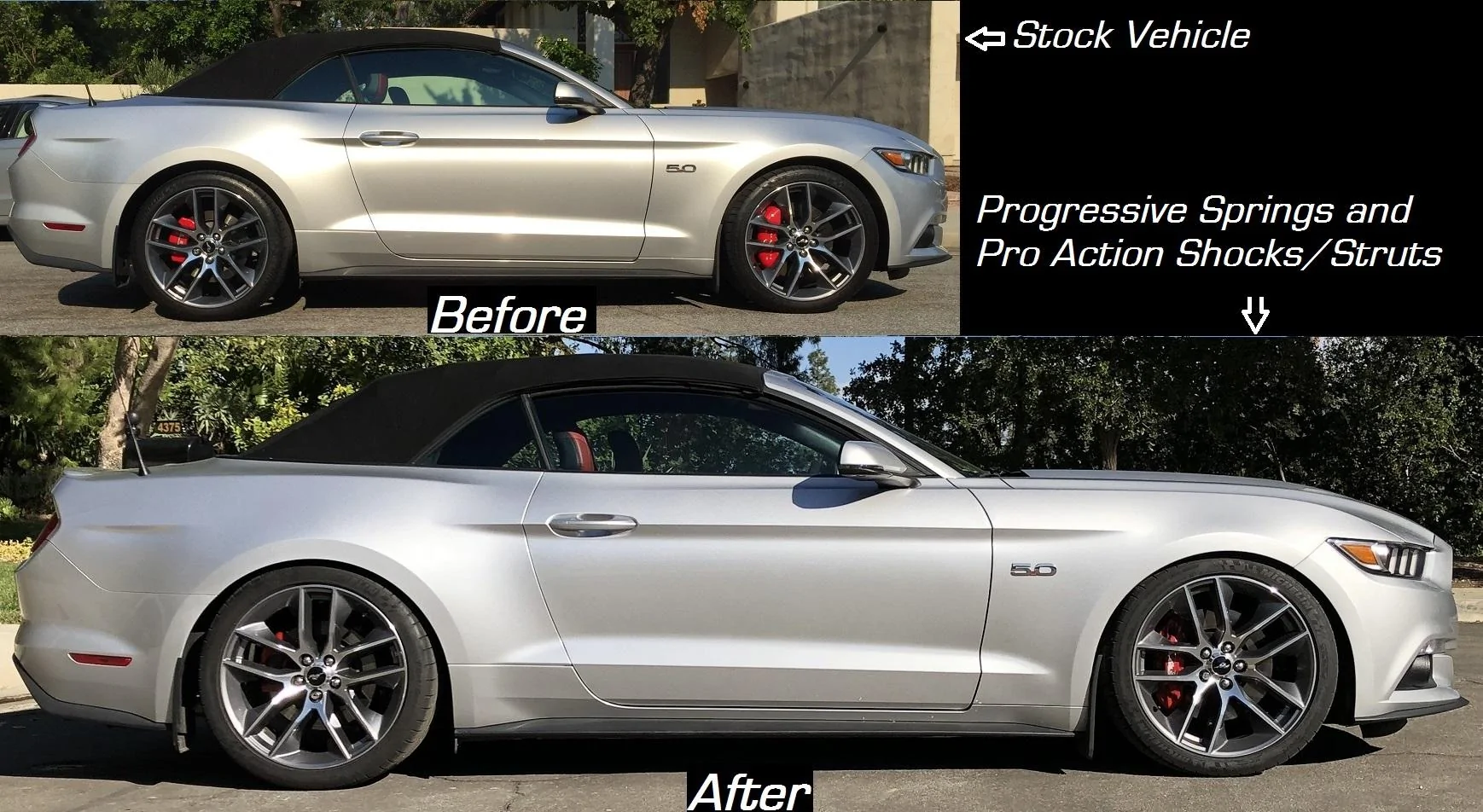 Comparison.webp