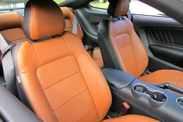 E94A4175-2EE8-4FB9-A82A-0268CBF28CBC.webp