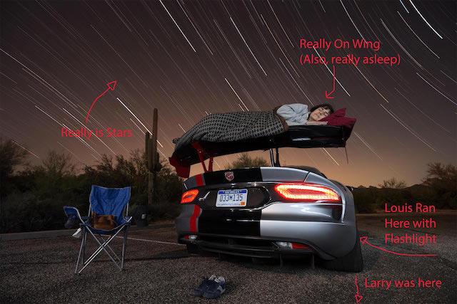 sleep on wing.jpg