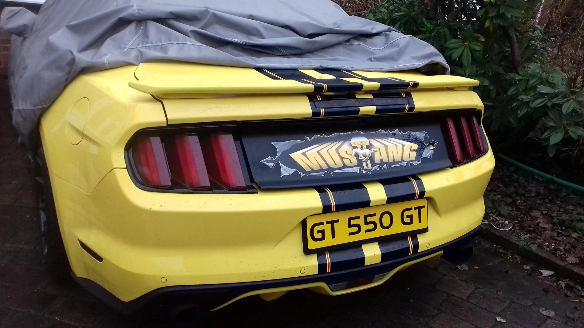 plasti dip.webp