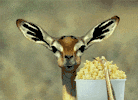 deereatingpopcorn_b66f6307ae78343c9504294caa6848e62420d0f1.gif