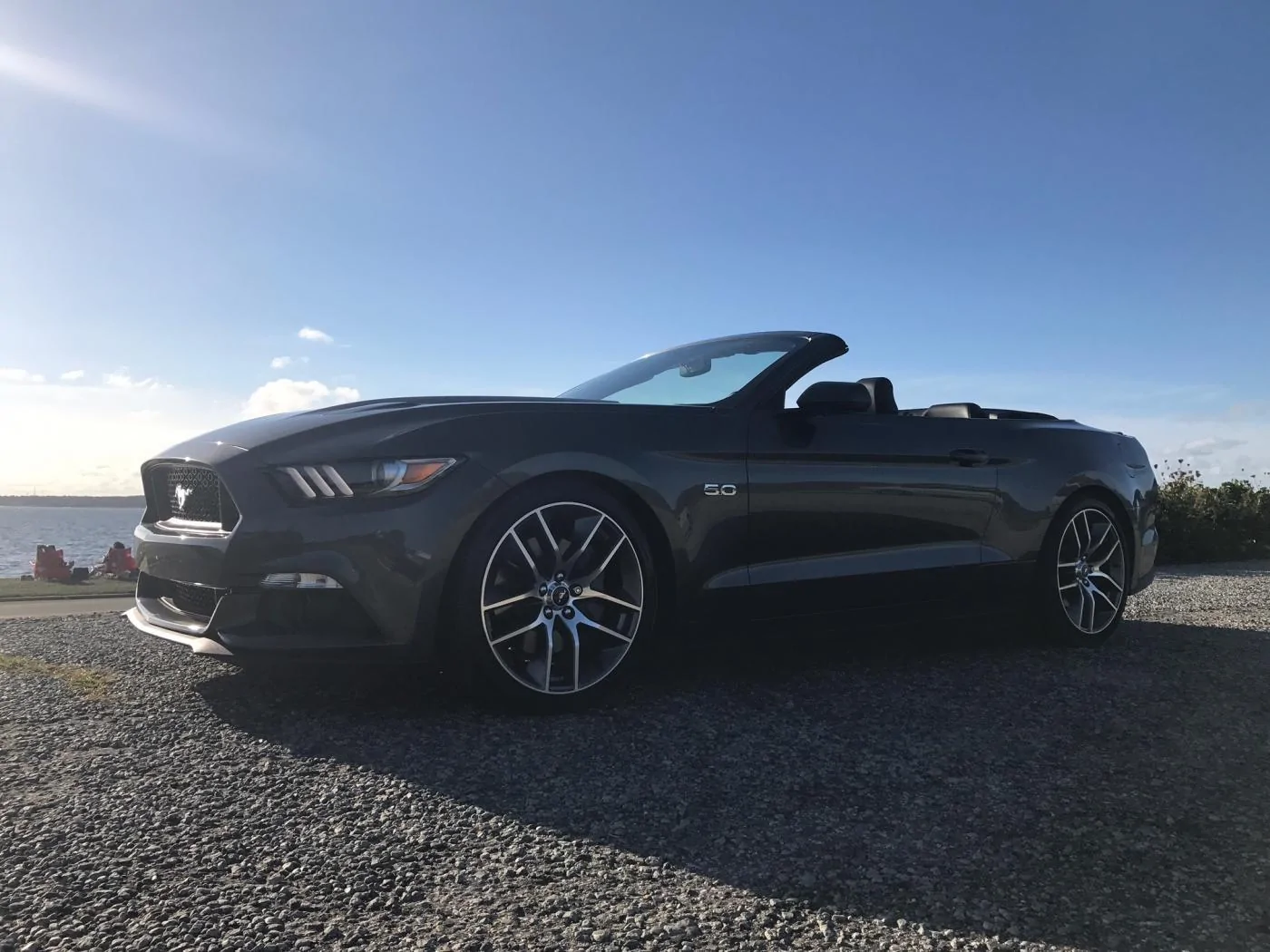 Stang.webp