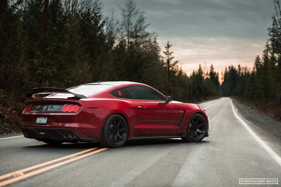 Rear side on road.webp