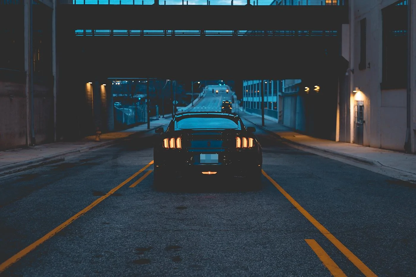 _MG_2678-1a.webp