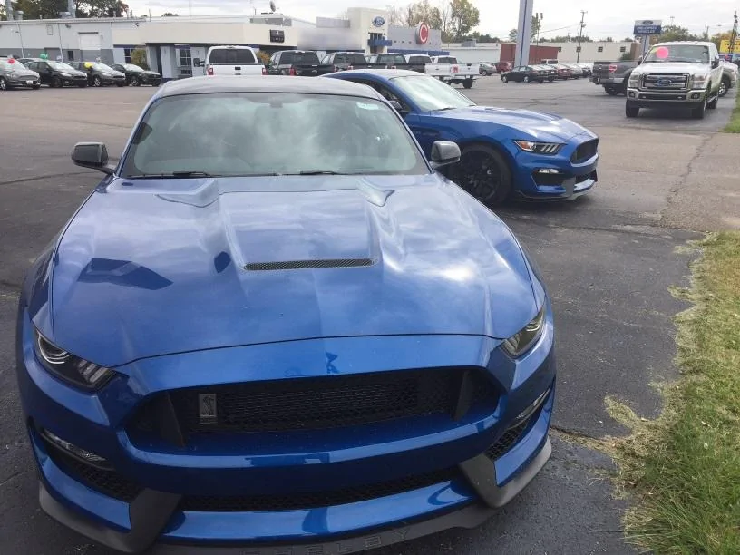 GT350-Duplicate-Small2.webp