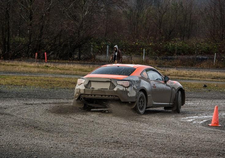 Dirt Fish 1.jpg