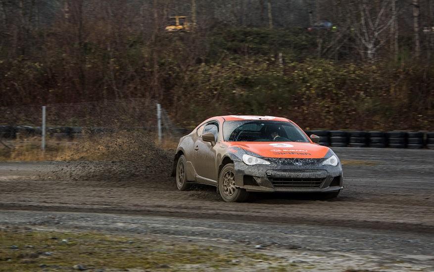 Dirt Fish 2.jpg