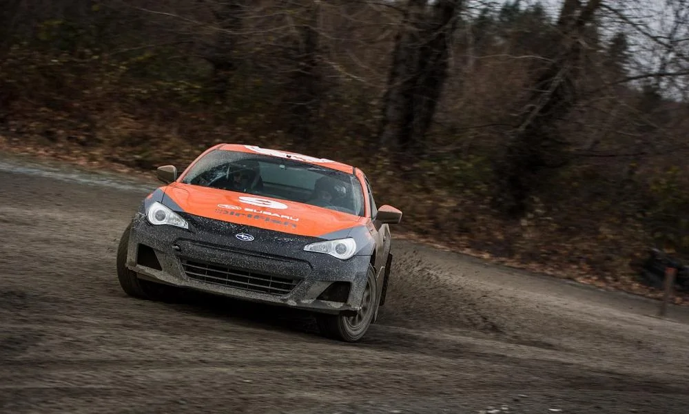 Dirt Fish 3.webp