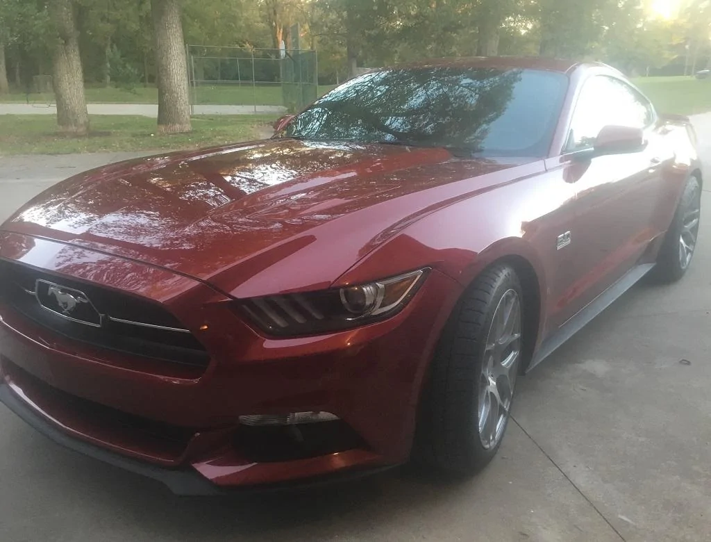 mustang2.webp