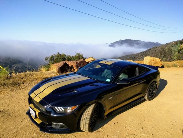 Shelby2.jpg