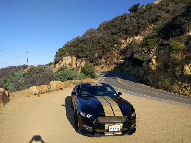 Shelby3.jpg