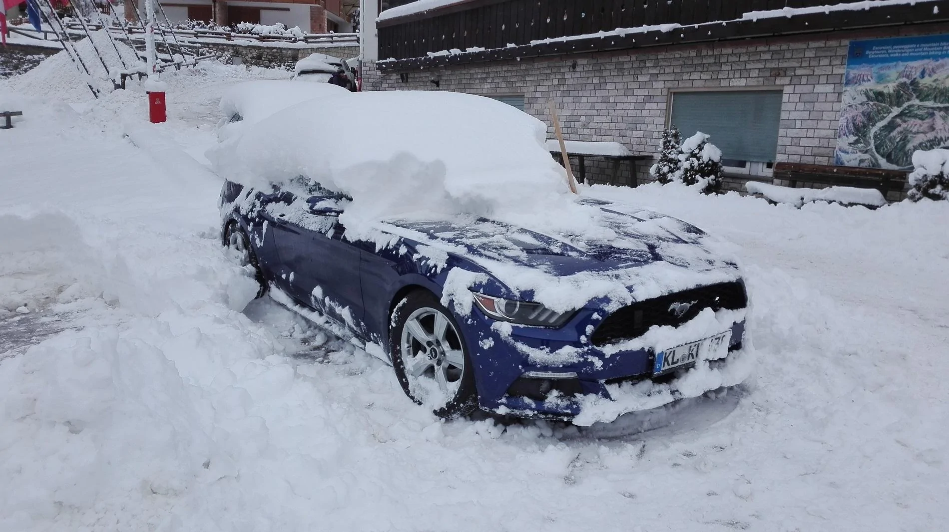 Snow Stang.webp