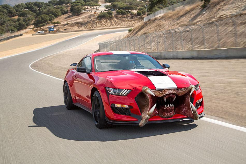 predator500.jpg