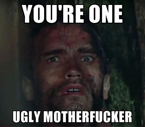 youre-one-ugly-motherfucker.webp