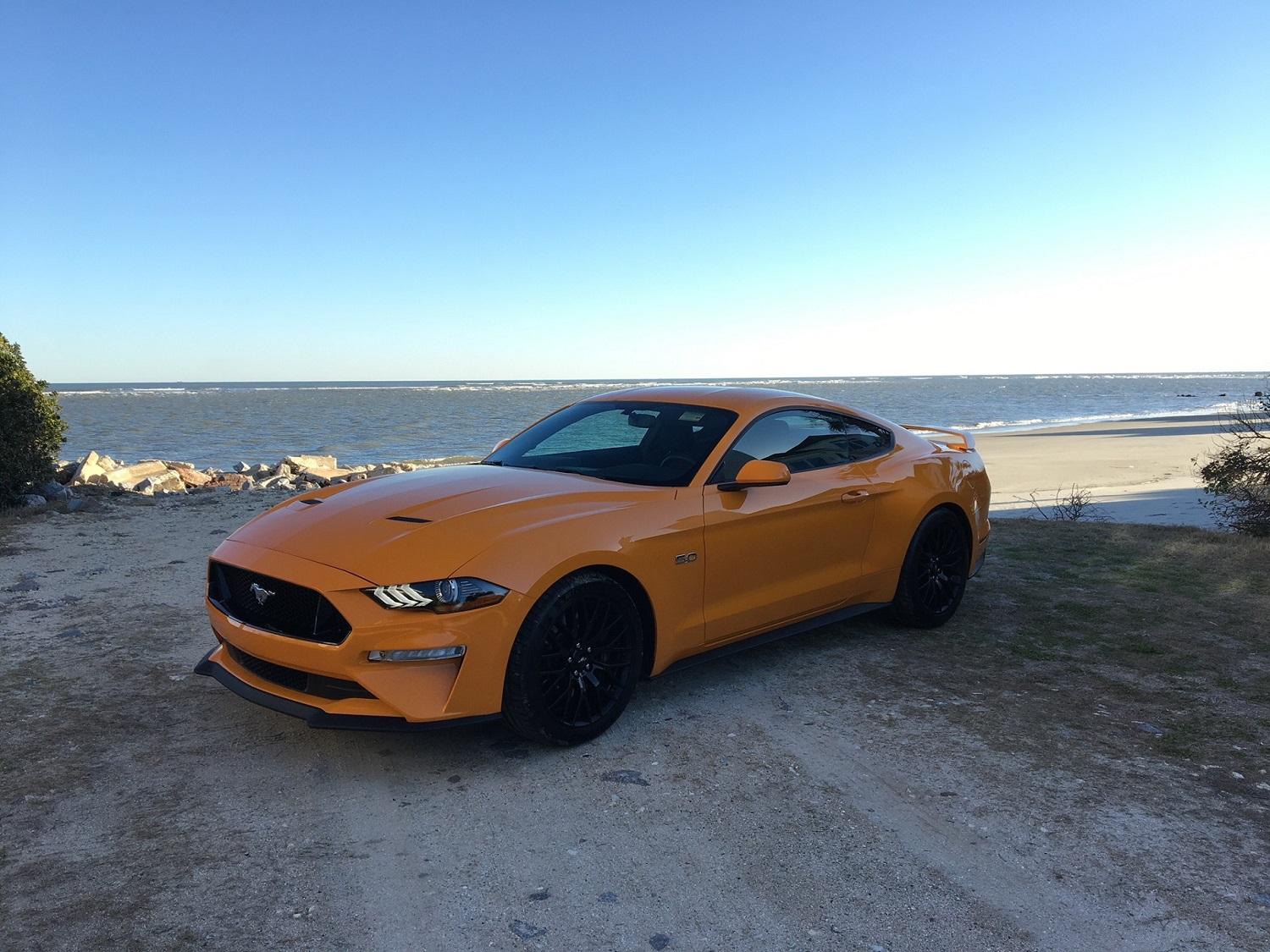 Mustang1.jpg