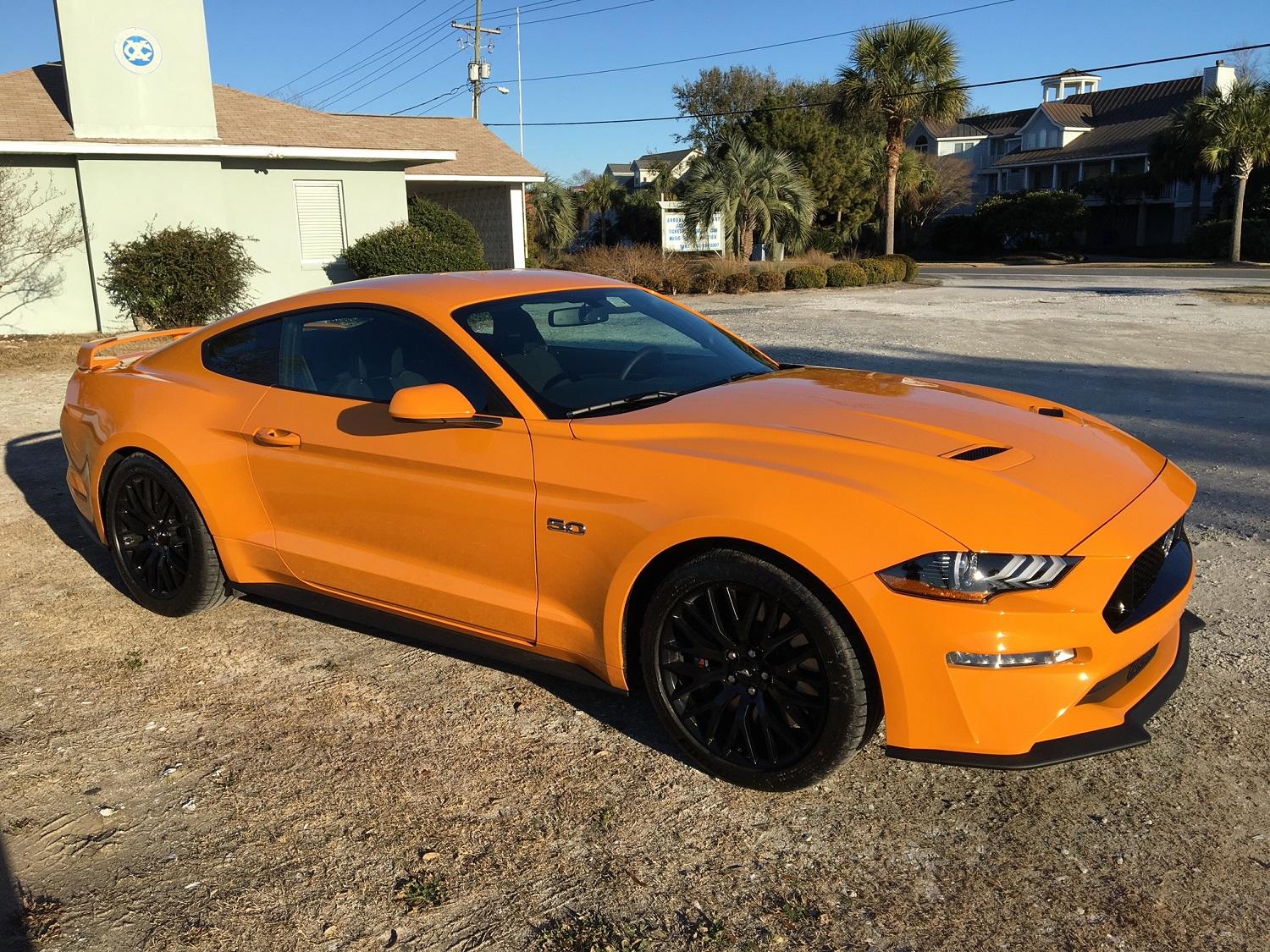 Mustang2.jpg